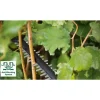 Elektro-Heckenschere 'Advanced Hedge Cut 70' 70 cm500 W