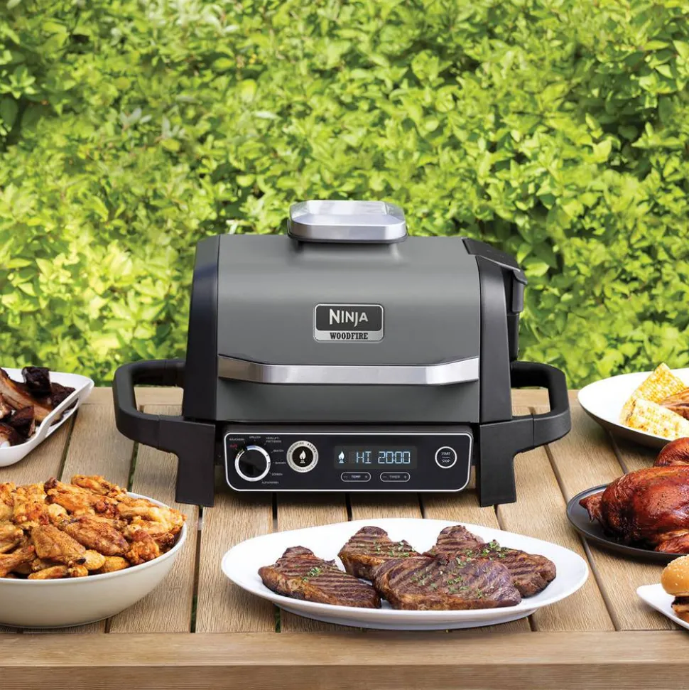 Elektro-Outdoor-Grill und Smoker 'Woodfire' schwarz 2400 W 46 x 34 x 46 cm