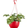 Erdbeere 2-farbig in 27 cm Wasserspeicher-Ampeltopf