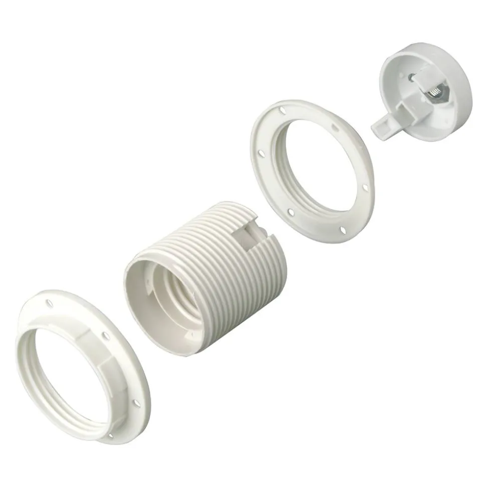 Fassung