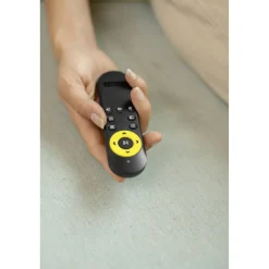 Fensterputzroboter 'RCW 2' mit Fernbedienung