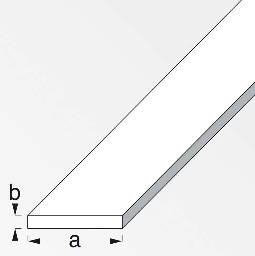 Flachprofil 100 x 6 x 0,03 cm