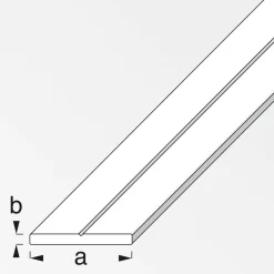 Flachstange 100 x 2,95 x 0,3 cm