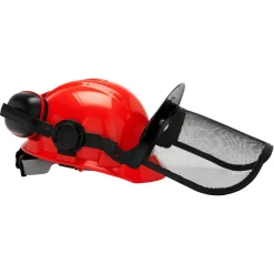 Forstschutzhelm