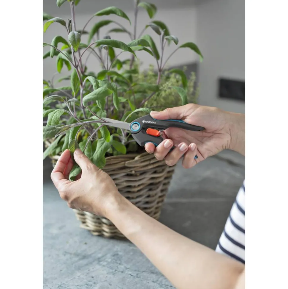 Gartenschere 'FreshCut'