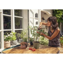Gartenschere 'FreshCut' mit Kräuterschildern