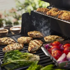 Gasgrill 'Genesis E-415' schwarz