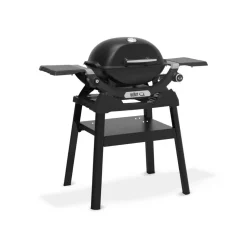Gasgrill mit Stand 'Q1200N' schwarz