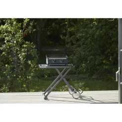 Gasgrill 'Plancha G-400' 2 Brenner 50 mbar