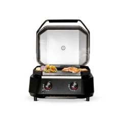 Gasgrill 'Plancha G-500' 2 Brenner 50 mbar