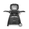 Gasgrill 'Q 3000' schwarz 127,5 x 110,5 x 53,3 cm