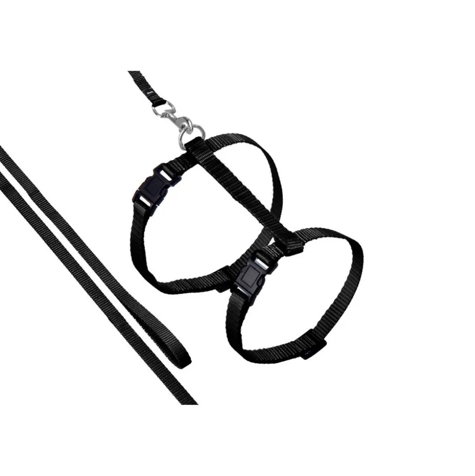 Geschirr mit Leine 'Art Sportiv Plus' schwarz, 110 cm