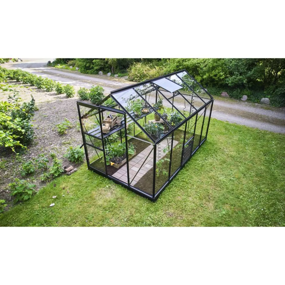 Gewächshaus 'Popular 106' 193 x 319 cm schwarz mit 3 mm Sicherheitsglas