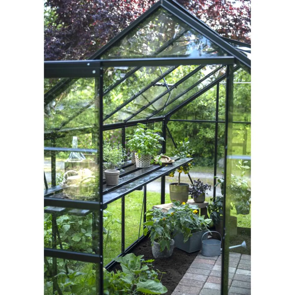 Gewächshaus 'Popular 106' 193 x 319 cm schwarz mit 3 mm Sicherheitsglas