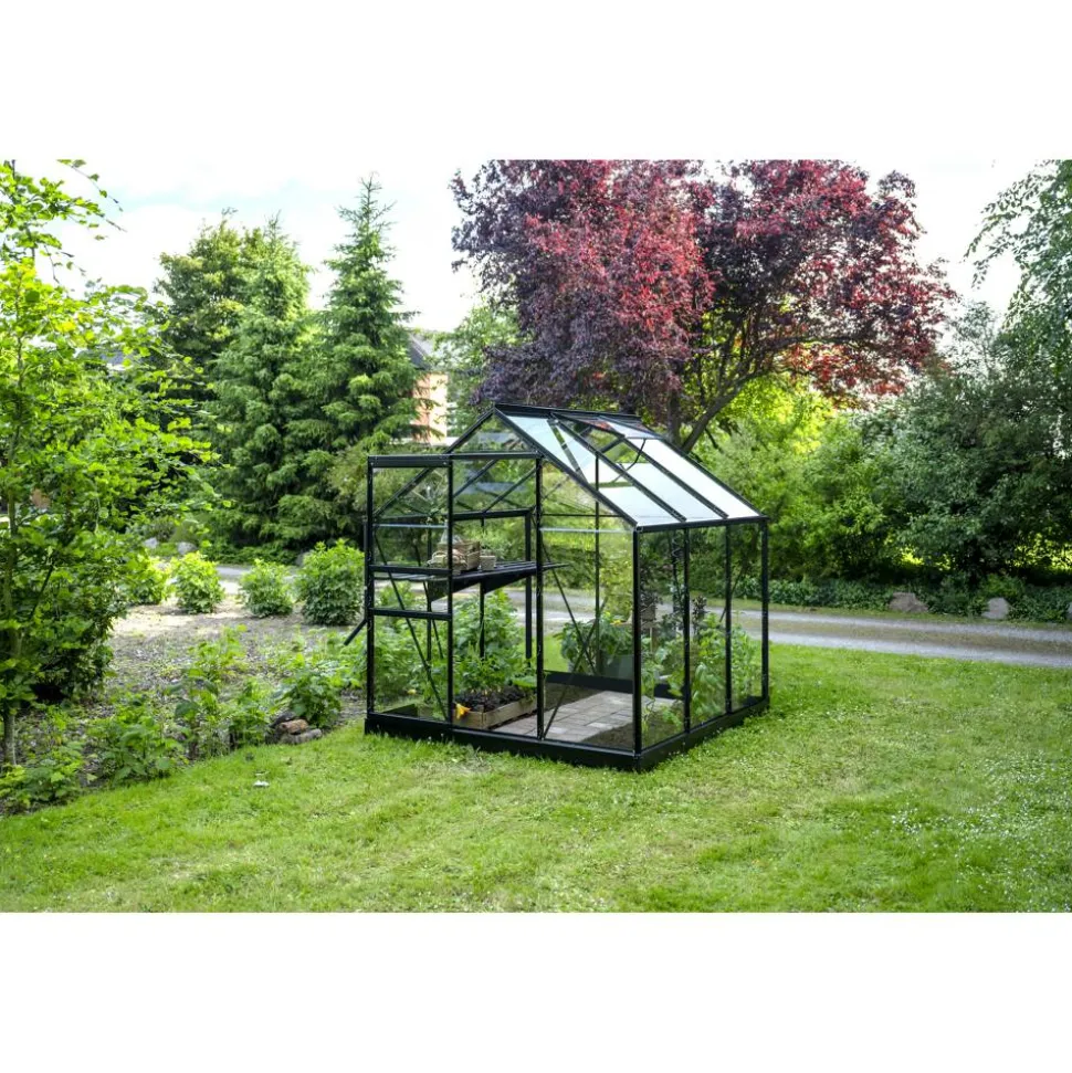 Gewächshaus 'Popular 66' 193 x 195 cm mit 3 mm Sicherheitsglas schwarz
