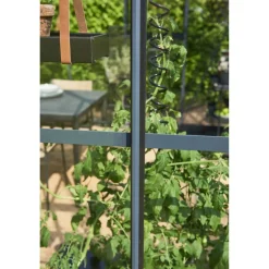 Gewächshaus 'Premium' 296 x 368 cm mit 3 mm Sicherheitsglas anthrazit/schwarz