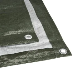 Gewebeplane Polyethylen grün/silbern 3 x 5 m