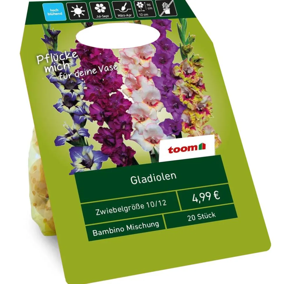 Gladiolen 'Bambino' Mischung 20 Zwiebeln