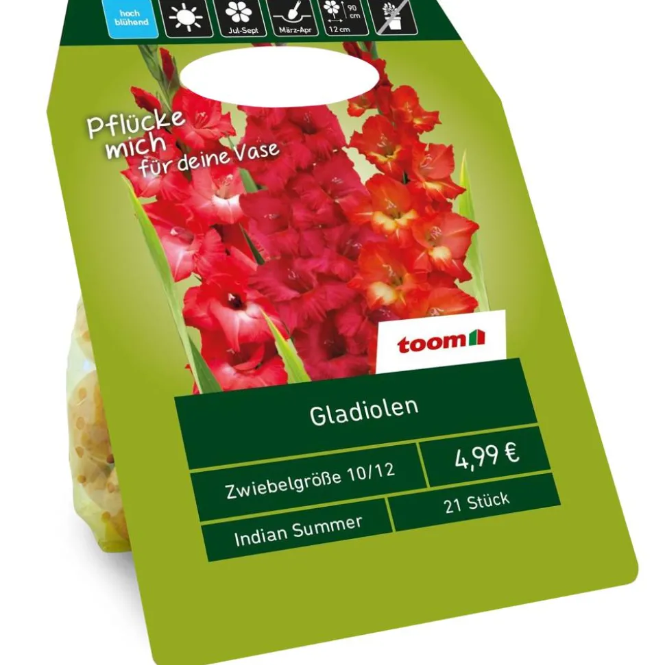 Gladiolen 'Indian Summer' rot 21 Zwiebeln