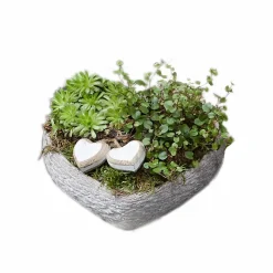 Grab-Arrangement Herz klein bepflanzt, 18 x 17 cm