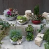 Grab-Arrangement Kreuz bepflanzt, 22 x 15 cm