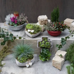 Grab-Arrangement Zinkschale mit Griffen, bepflanzt, Ø 23 cm