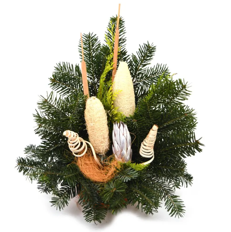Grabschale weiß Nobilis-Tanne 40 x 30 cm
