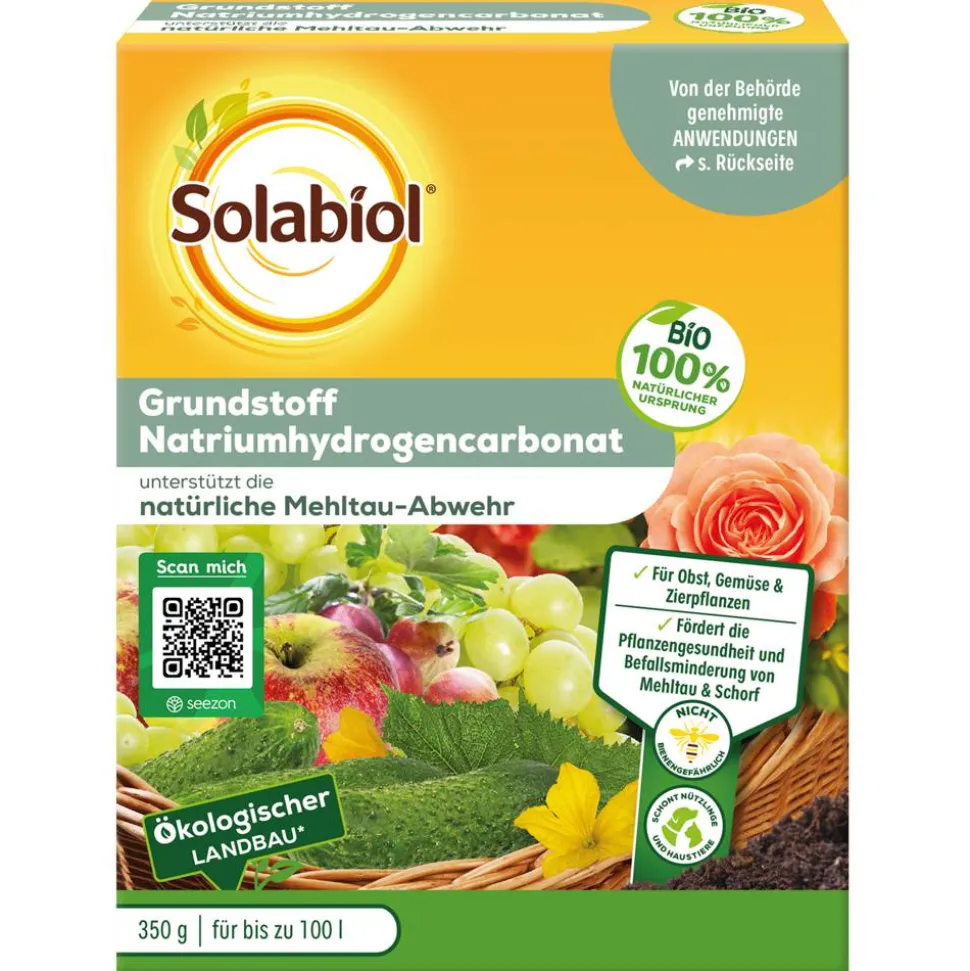 Grundstoff-Pulver Natriumhydrogencarbonat 350 g