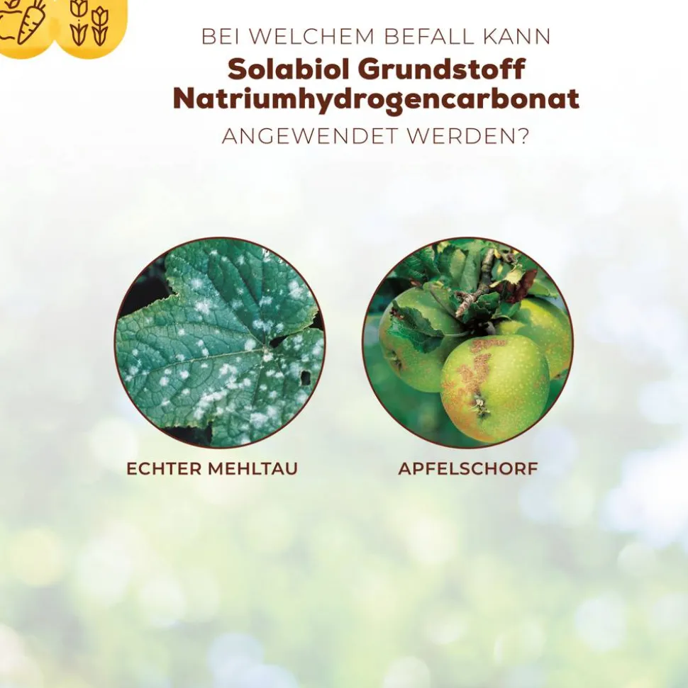 Grundstoff-Pulver Natriumhydrogencarbonat 350 g