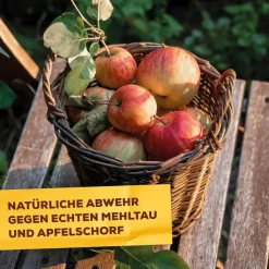 Grundstoff-Pulver Natriumhydrogencarbonat 350 g