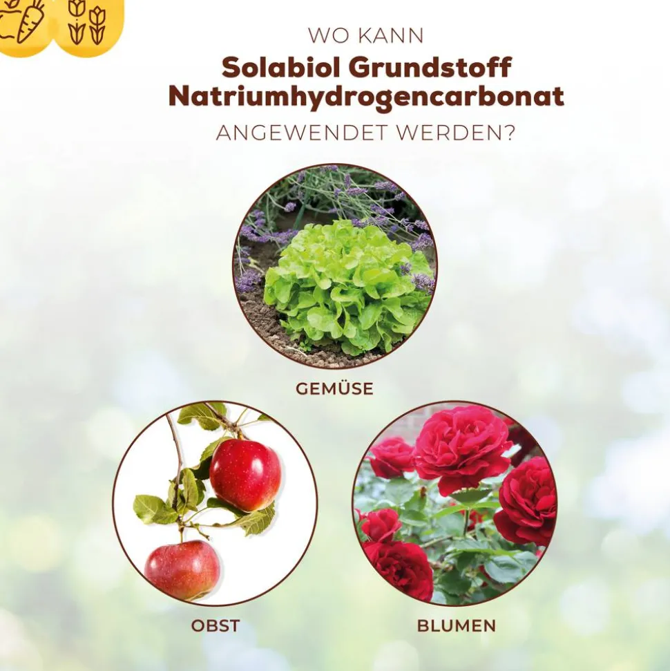 Grundstoff-Pulver Natriumhydrogencarbonat 350 g