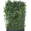 Hecke am laufenden Meter® Efeu 'Woerneri'/Clematis weiß 180 x 120 cm