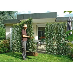 Hecke am laufenden Meter® Efeu 'Woerneri' 180 x 120 cm