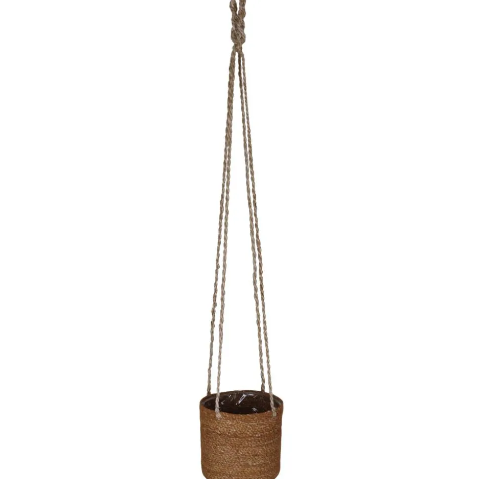 Hängeampel Hogla-Gras natur mit Polybeutel Ø 14 x 14 cm