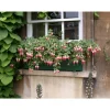 Hängende Fuchsie rot-violett 12 cm Topf, 3er-Set