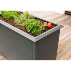 Hochbeet 'Primus M' anthrazit 100 x 50 x 77 cm