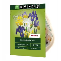 Holländische Iris 50 Stück