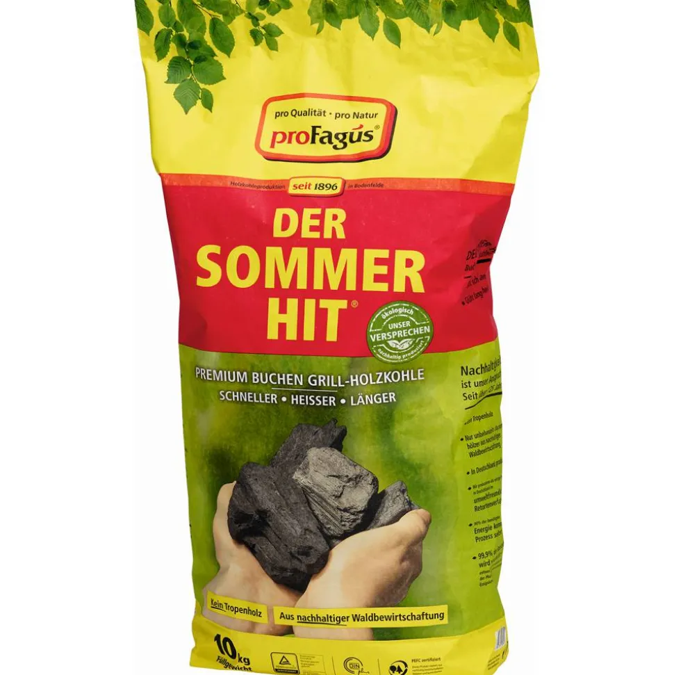 Holzkohle "Der Sommer-Hit" 10 kg