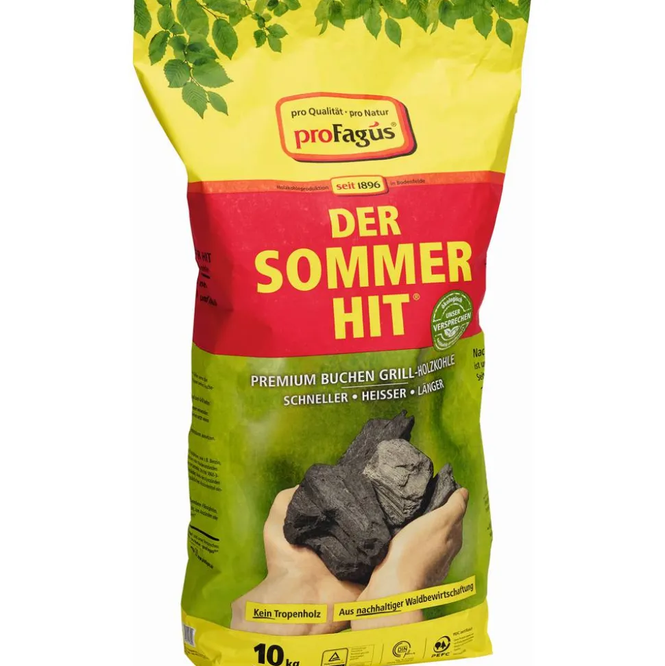 Holzkohle "Der Sommer-Hit" 10 kg