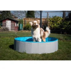 Hundepool grau/petrolblau PVC Ø 120 x 30 cm