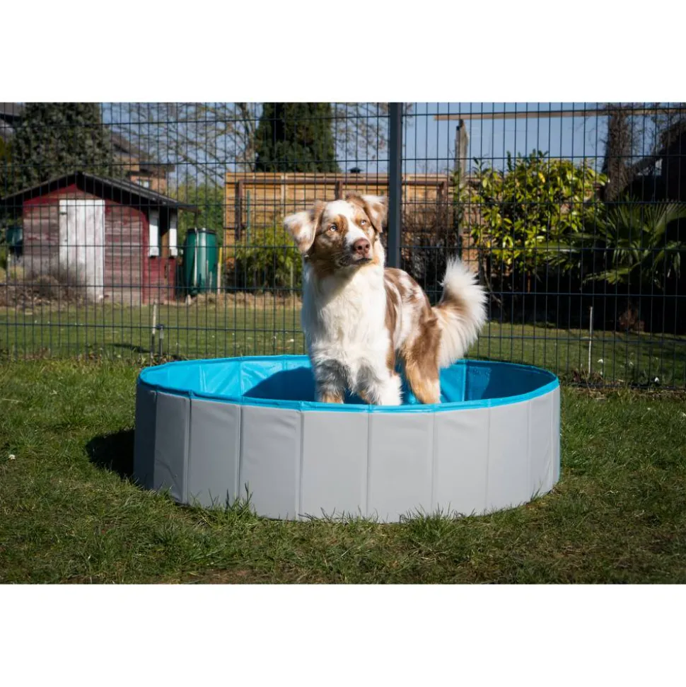 Hundepool grau/petrolblau PVC Ø 160 x 30 cm