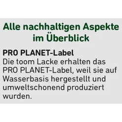 2in1 Fenster- und Türenlack weiß glänzend 2,5 l