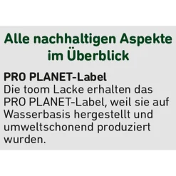 2in1 Fenster- und Türenlack weiß seidenmatt 2,5 l
