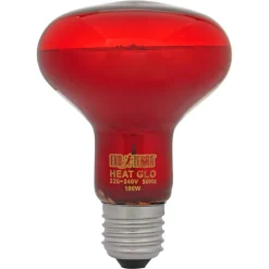 Infrarotstrahler 'Infrared Basking Spot' 100 W