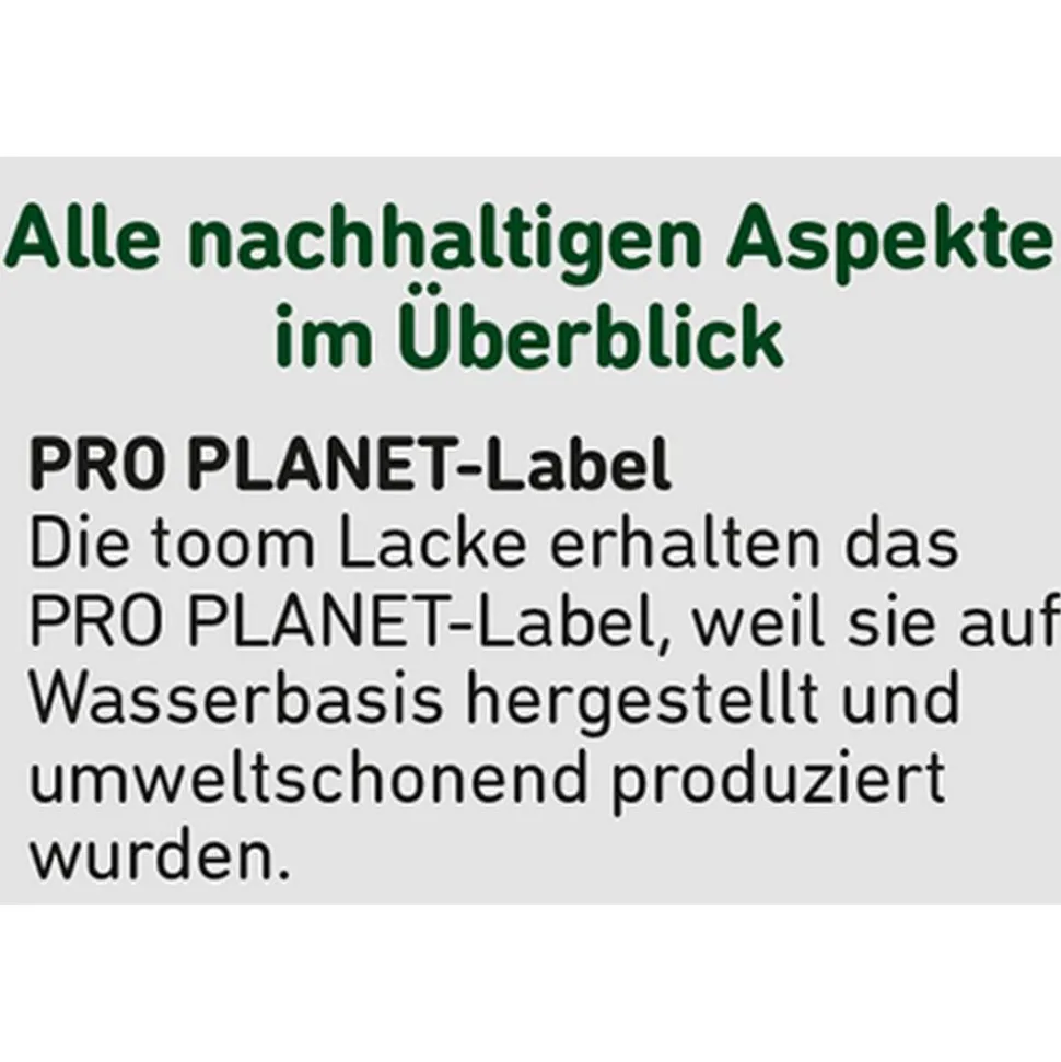2in1 Fußbodenlack silbergrau 2,5 l