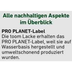 2in1 Klarlack transparent seidenmatt 750 ml