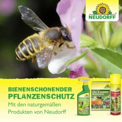 Insektizid 'Spruzit' Zierpflanzen-Schädlingsfrei 450 ml