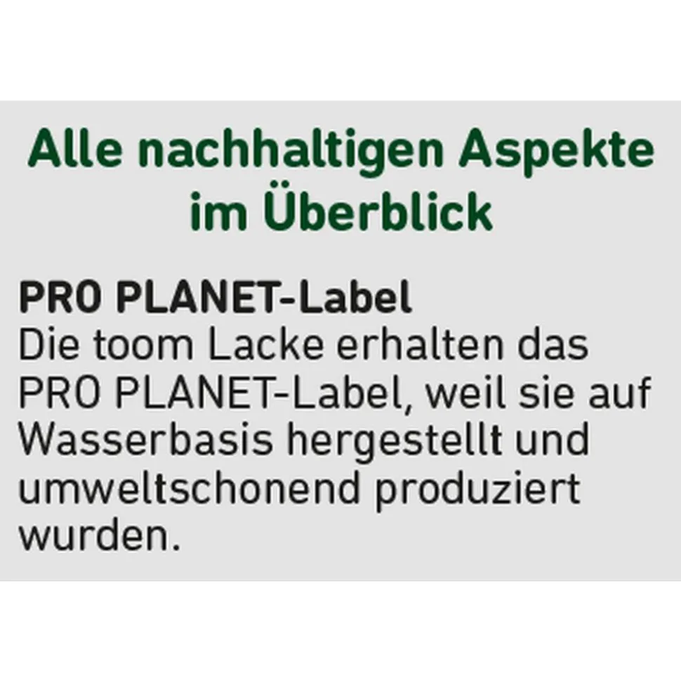 2in1 Weißlack seidenmatt 750 ml