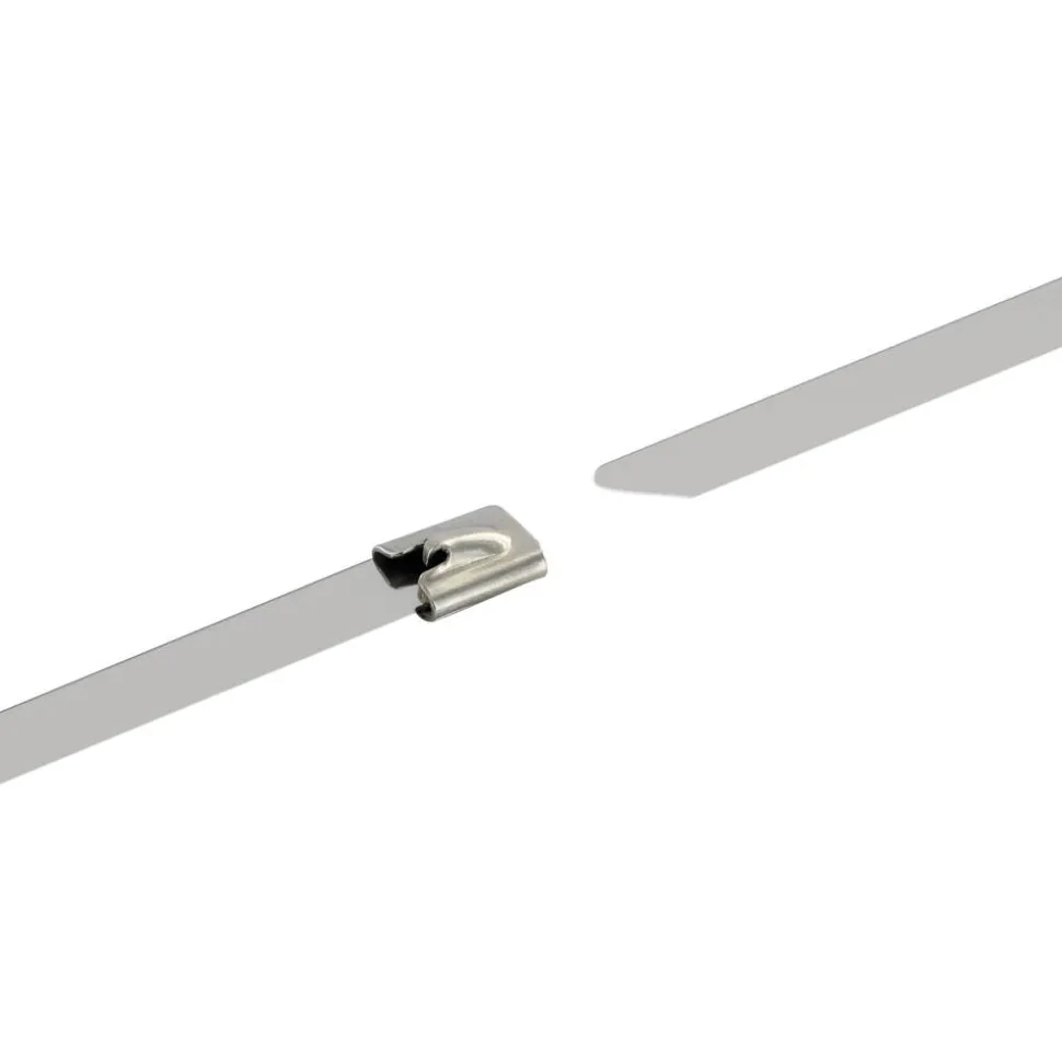 Kabelbinder-Set Edelstahl silbern 25 cm 10 Stück