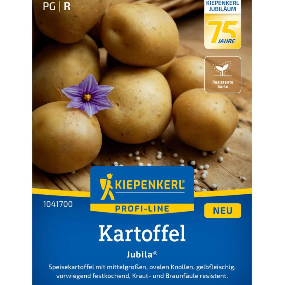 Kartoffel 'Jubila®' F1-Hybride